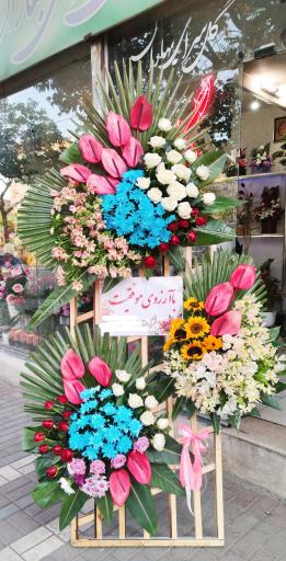 عکس گل سرای بهاران