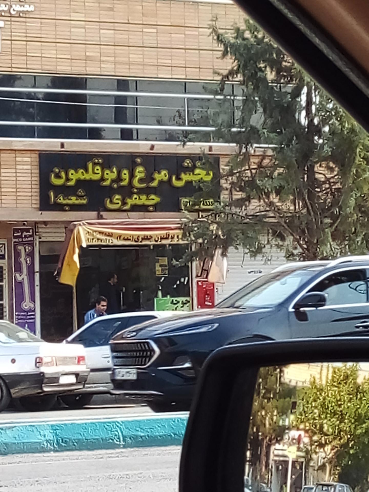 عکس پخش مرغ و بوقلمون جعفری شعبه ۱