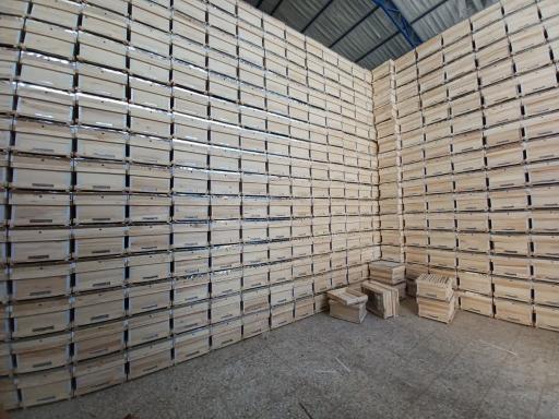 عکس پخش عسل پارسان