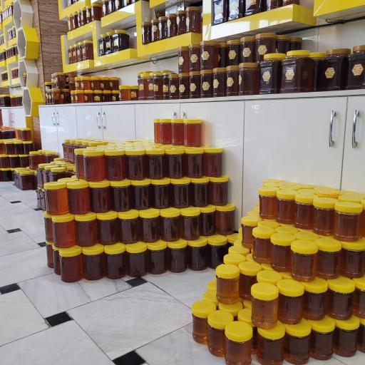 عکس پخش عسل پارسان