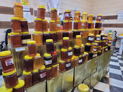 عکس پخش عسل پارسان