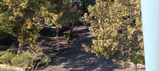 عکس مینی پارک