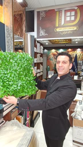 عکس تک دیزاین