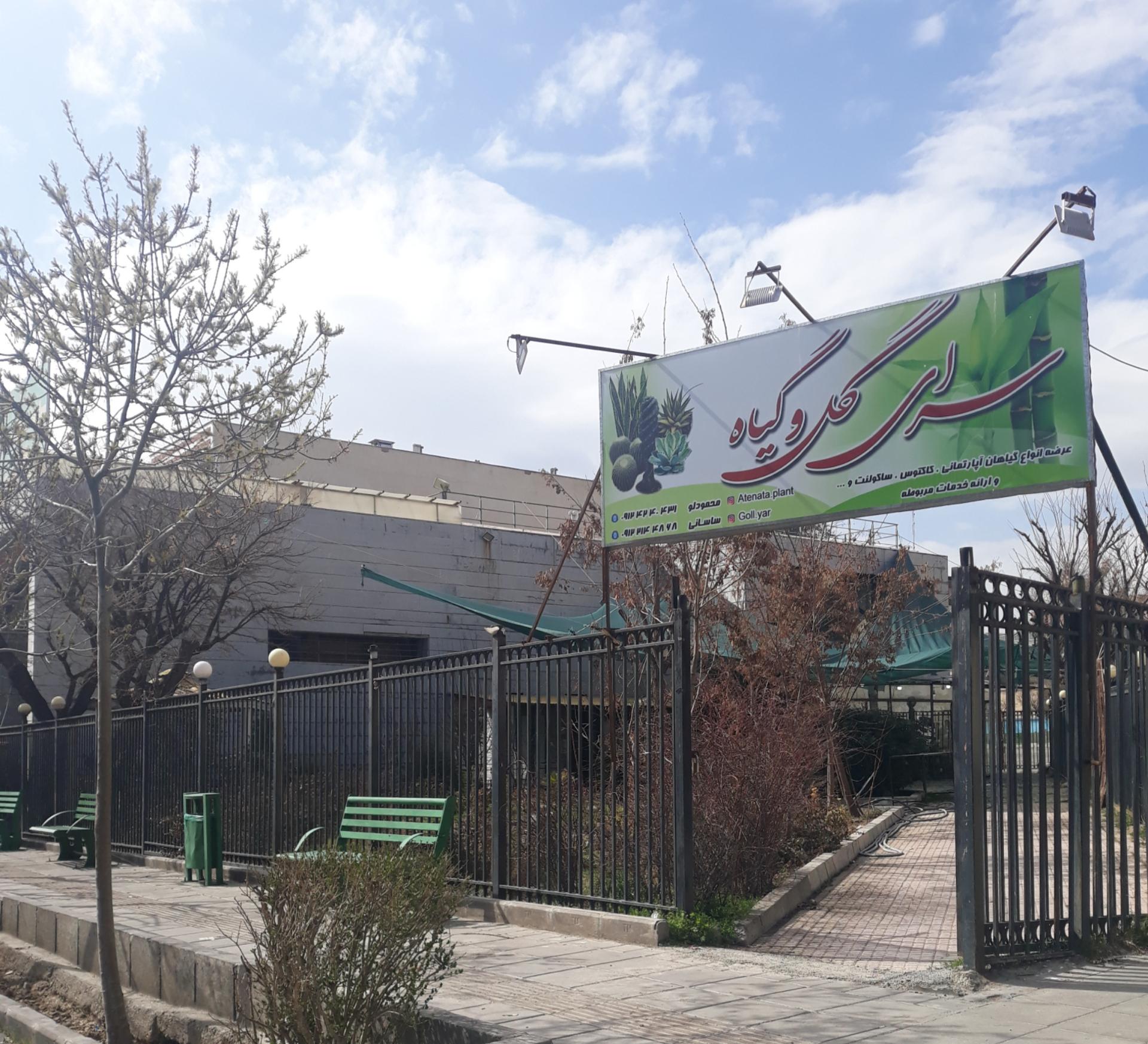 عکس سرای گل و گیاه 