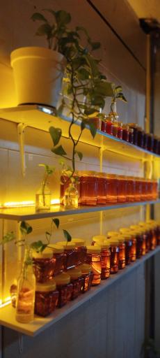 عکس فروشگاه عسل گریزلی