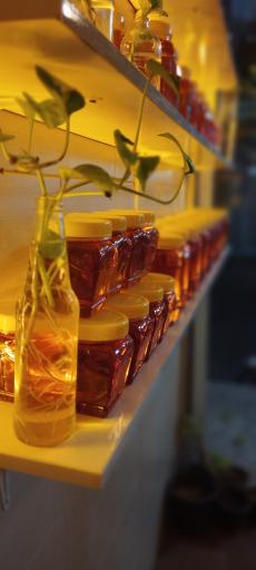 عکس فروشگاه عسل گریزلی