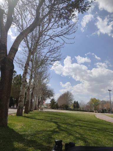 عکس پارک لاله