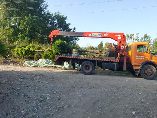 عکس باغ گل دادمهر