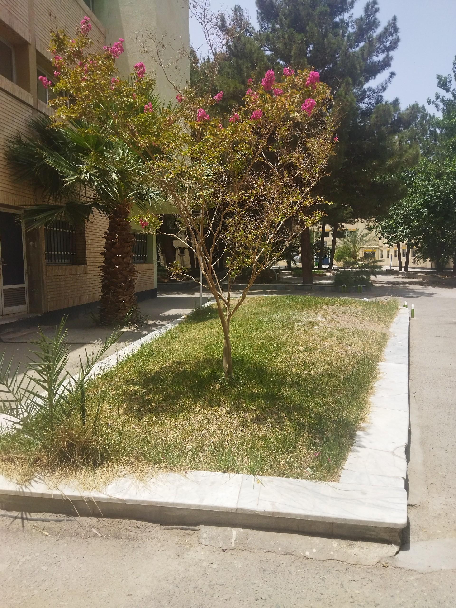 عکس خوابگاه رضوان ۵