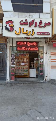 مرغ زربال 