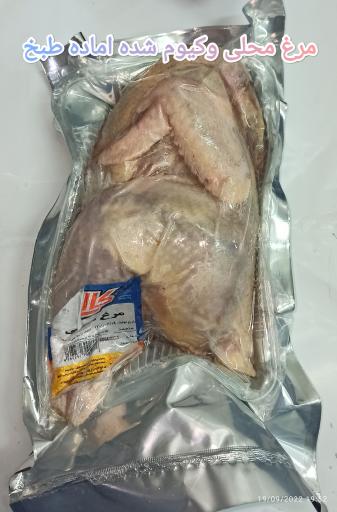 عکس مرغ زربال 