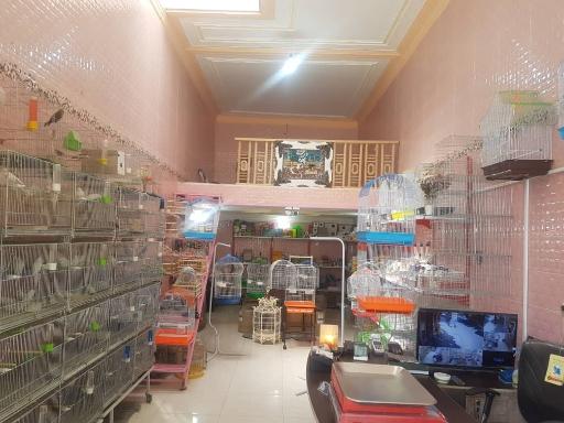 عکس فروشگاه  پر پرواز
