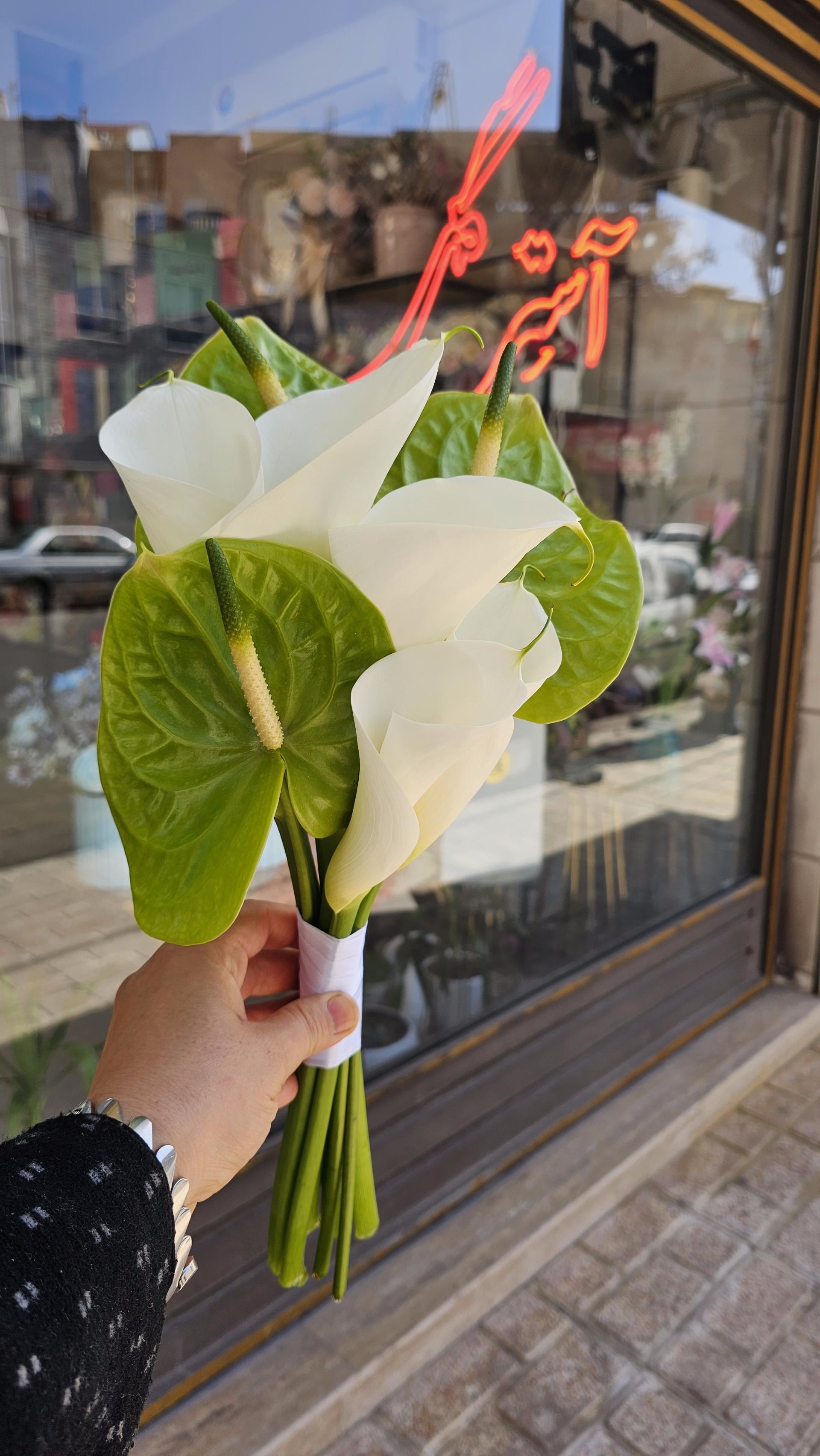 عکس گلفروشی آسترگل 