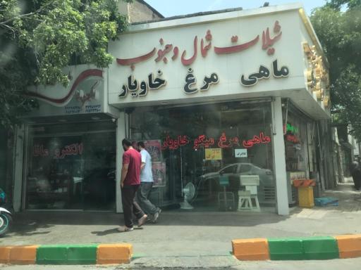 عکس شیلات شمال و جنوب