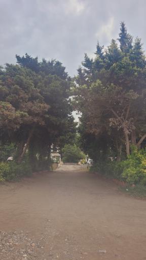 عکس متل طوفان