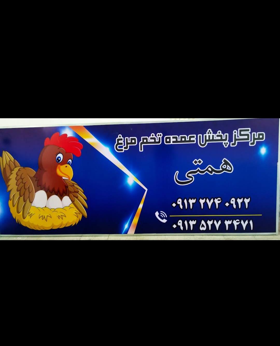 عکس دفتر پخش تخم مرغ همتی