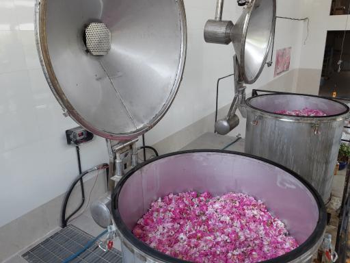 عکس گلشیلان