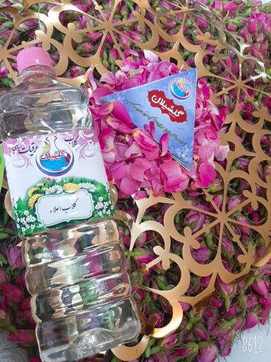عکس گلشیلان
