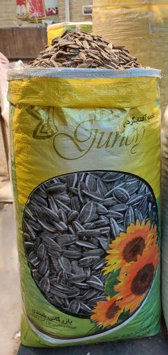 عکس خشکبار شندی