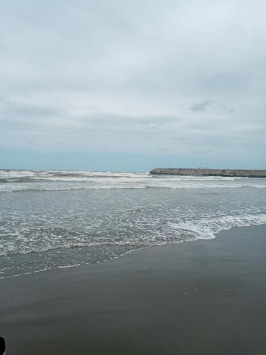 عکس محل شنا منطقه آزاد انزلی