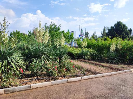 عکس دانشگاه صنعتی قم