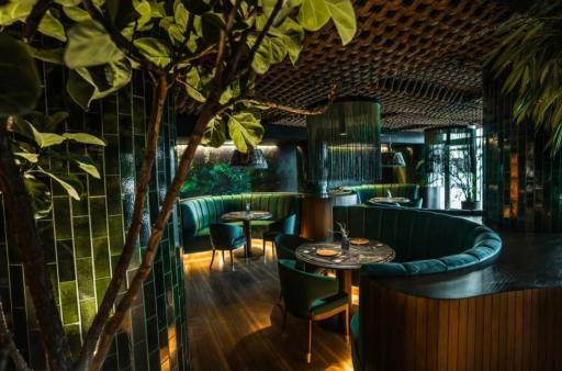 عکس رستوران آمازونیکا