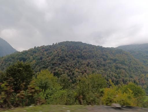 عکس بام سبز ماسال