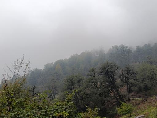 عکس بام سبز ماسال