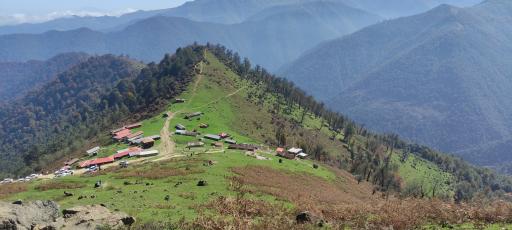 عکس بام سبز ماسال