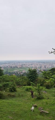 عکس بام سبز ماسال