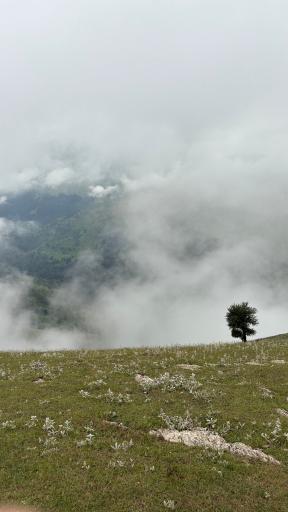 عکس بام سبز ماسال
