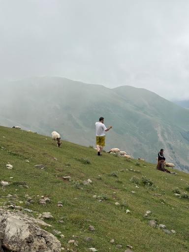 عکس بام سبز ماسال