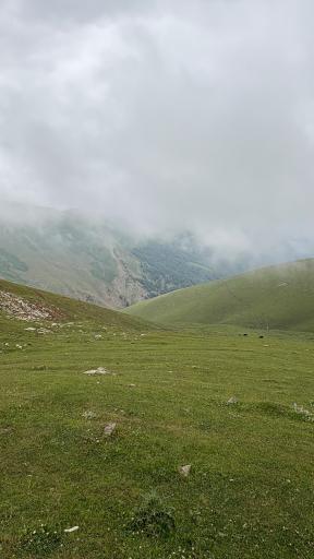 عکس بام سبز ماسال