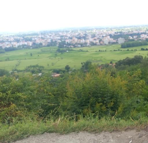 عکس بام سبز ماسال