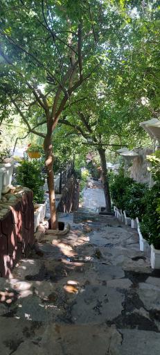 عکس رستوران سایدا