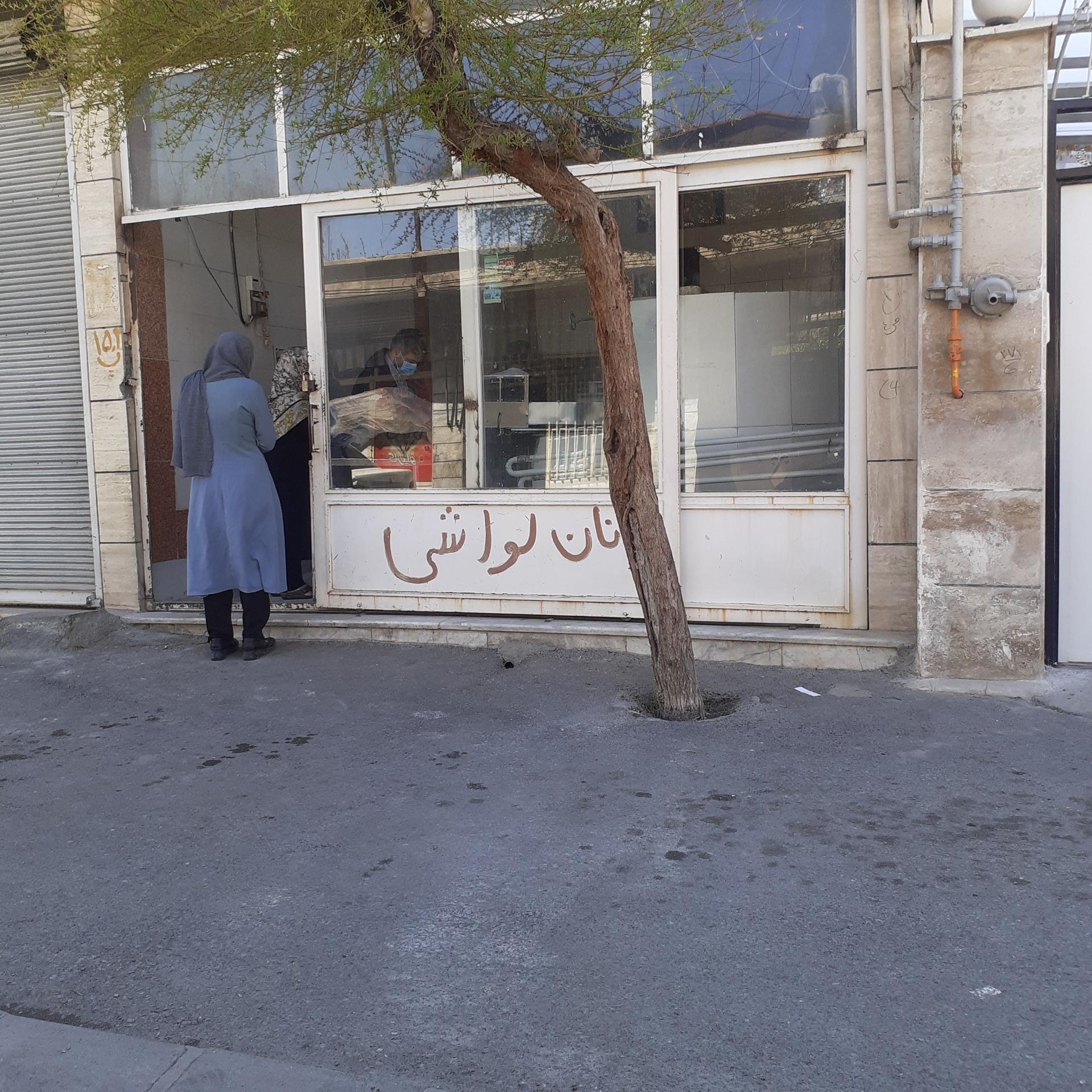 عکس لواش سيد 