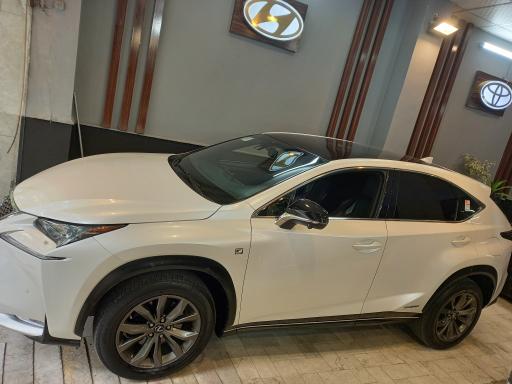 عکس اتو لسانی