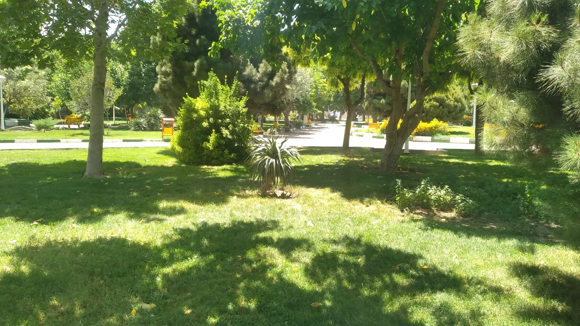 عکس بوستان رستگار مقدم