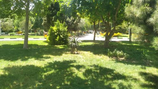 عکس بوستان رستگار مقدم