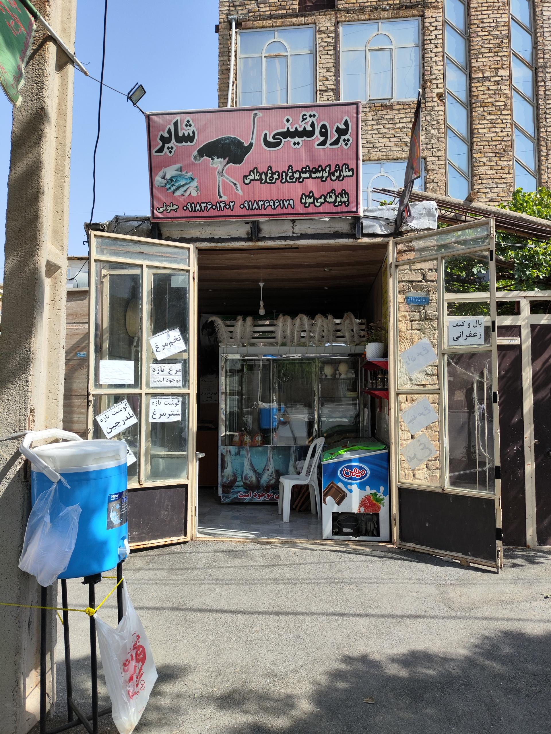 عکس پروتئینی شاپر