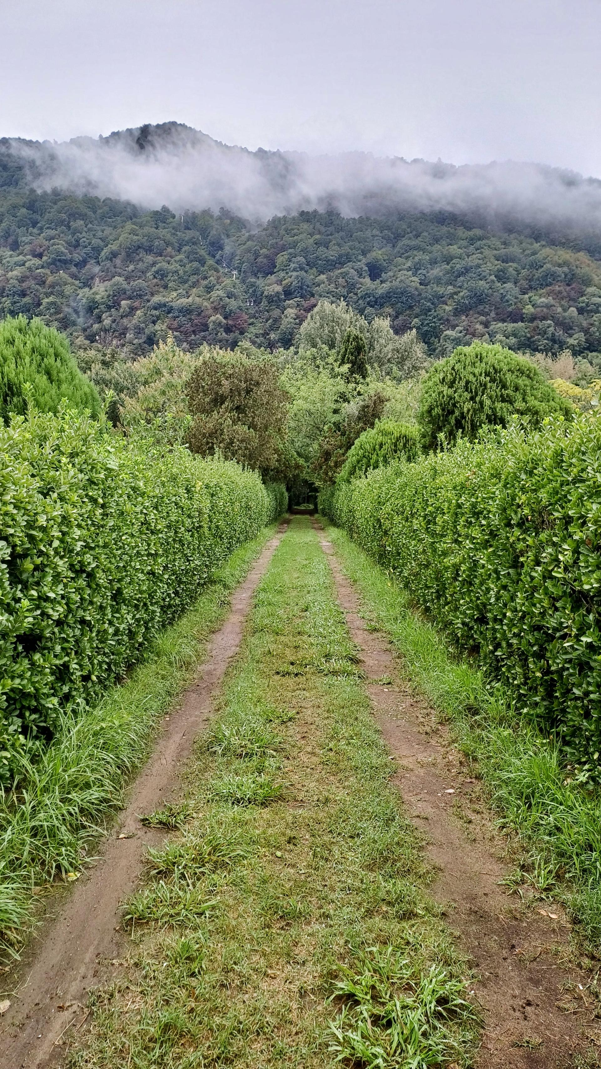 عکس اردوگاه فرهنگی ورزشی امام رضا