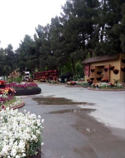 عکس بوستان رستگار مقدم