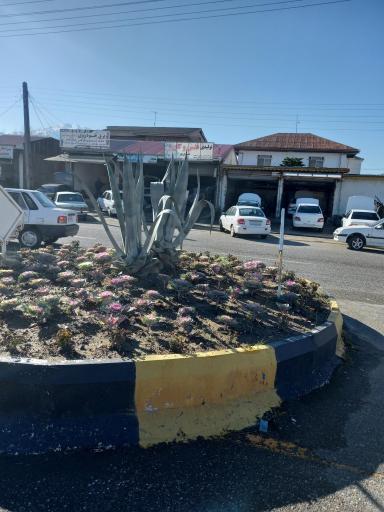 عکس میدان بسیج