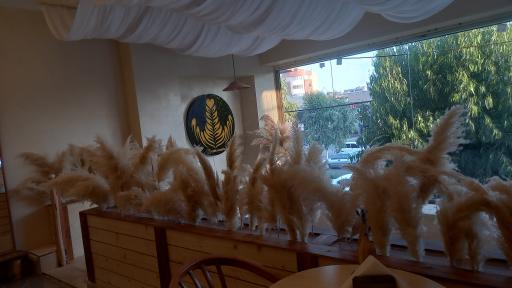 عکس کافه رزتا