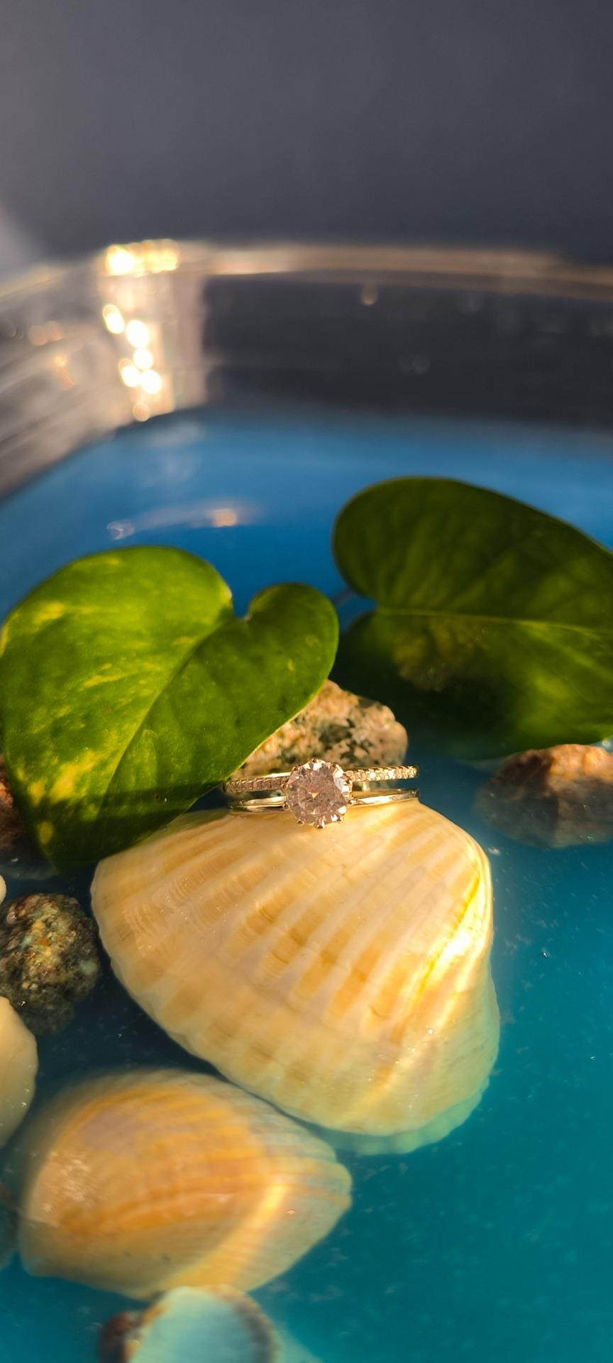 عکس نقره حیات