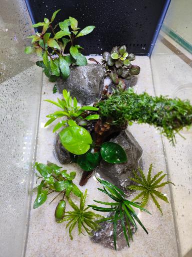 عکس آکواریوم پردیس