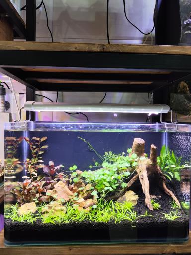 عکس آکواریوم پردیس