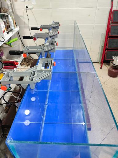 عکس آکواریوم پردیس