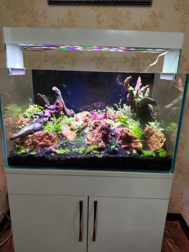 عکس آکواریوم پردیس