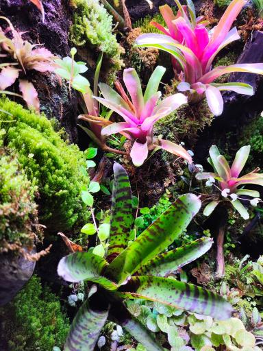 آکواریوم پردیس